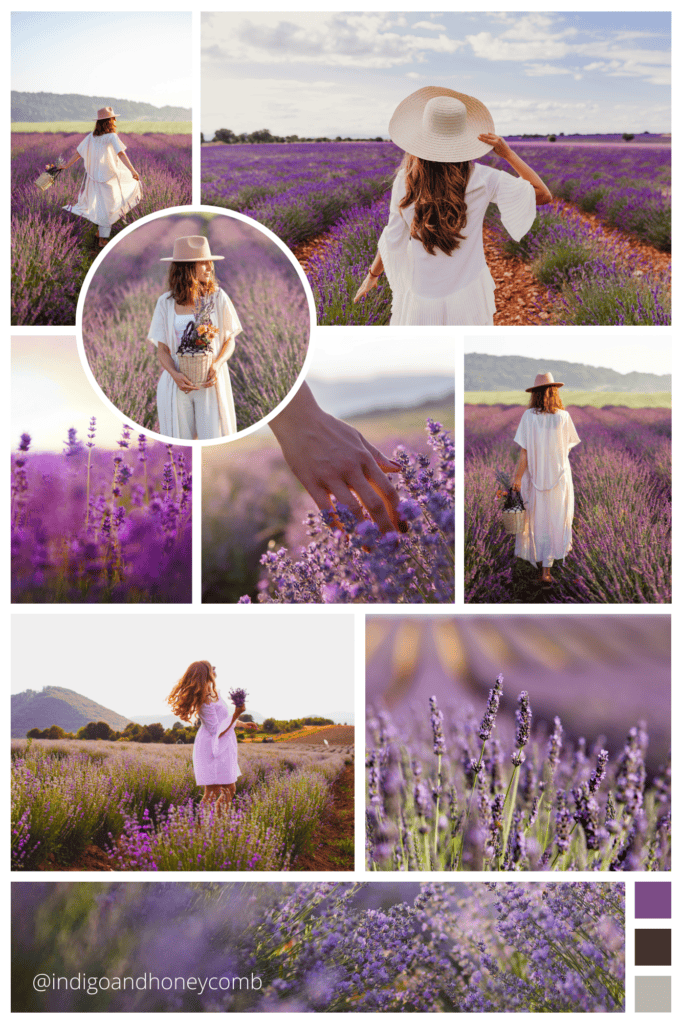 Lovely Lavender - serenity and cheerful mood board