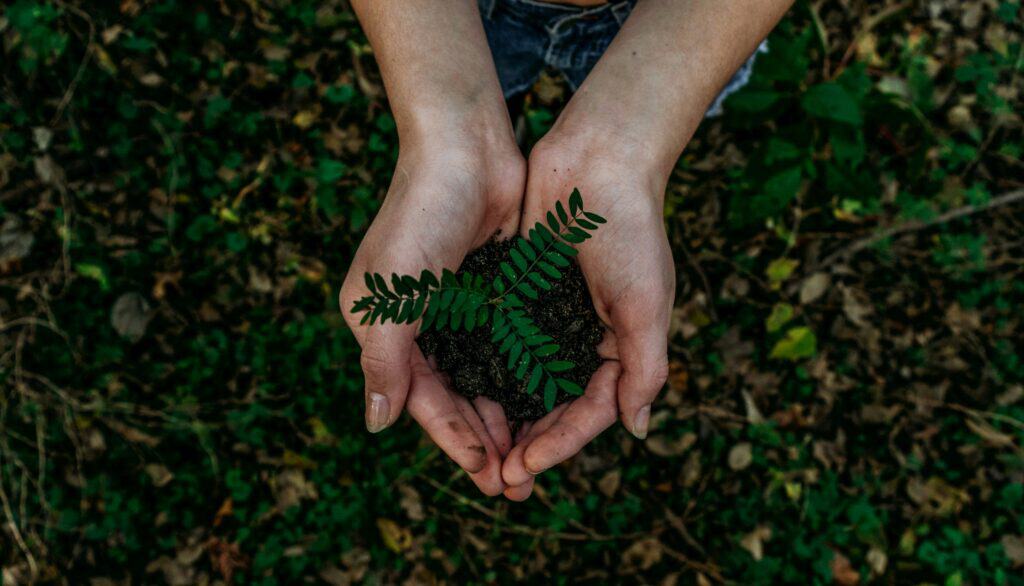 Earth Day celebration