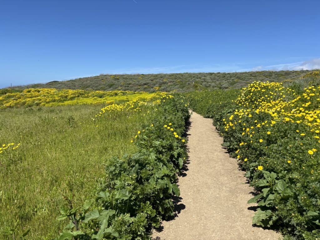 Hiking Trails near San Pedro, CA White Point Reserve Trail