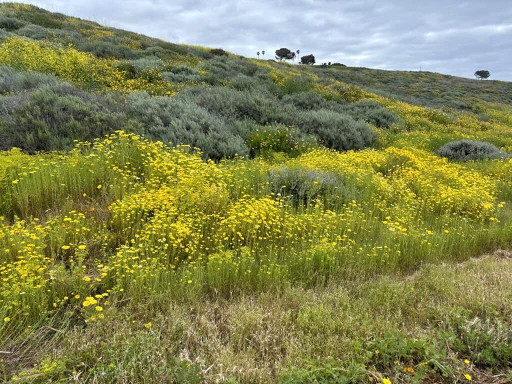 White Point Reserve