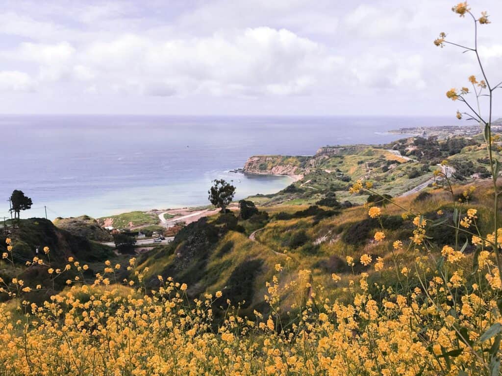 Hiking Trails near San Pedro Palos Verdes Peninsula