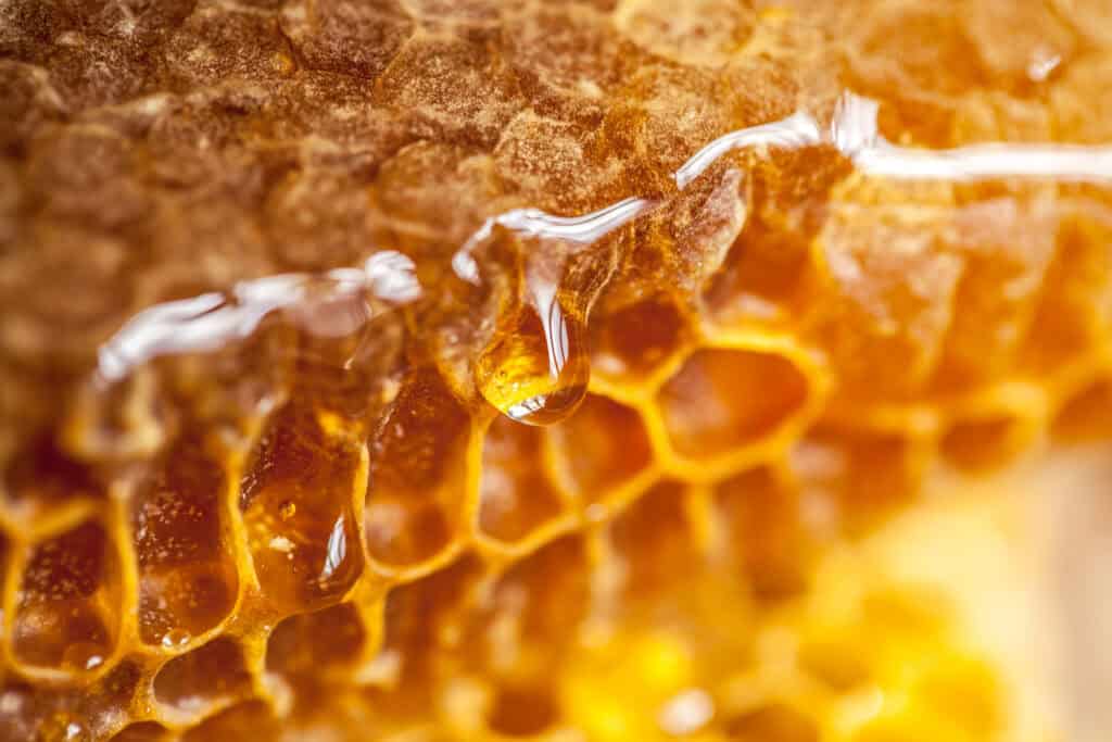 honeycomb structure - integral to company vision and mission