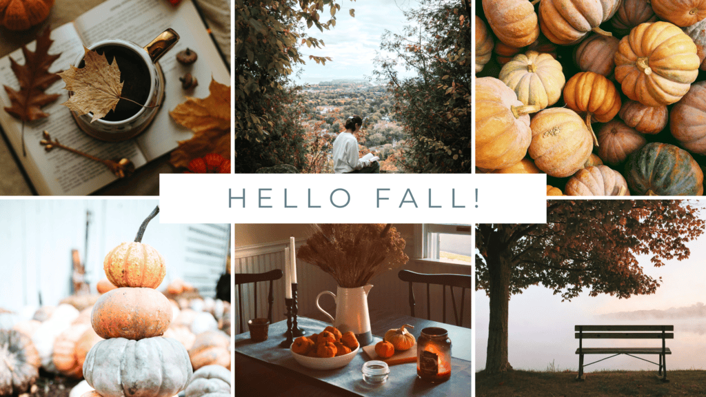 celebrating fall moodboard