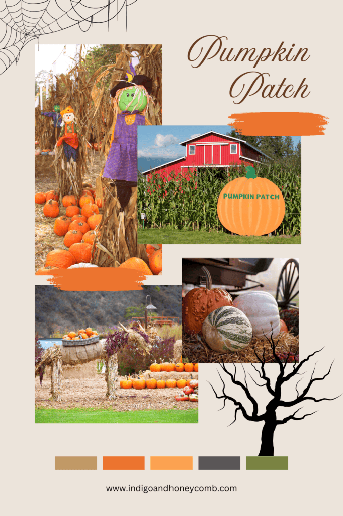 Halloween Trends Pumpkin Patch